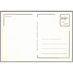 Skagen - Det gr Fyr - Postkort - Ubrugt