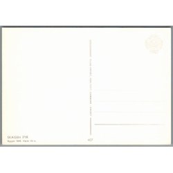 Skagen - Fyr - Postkort - Ubrugt