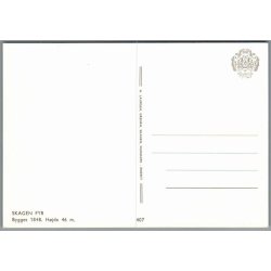 Skagen - Fyr - Postkort - Ubrugt