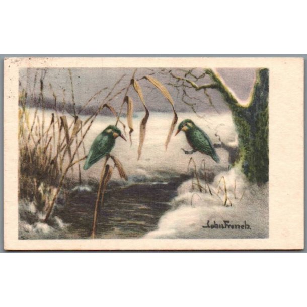 French, John - Fugle - Brugt