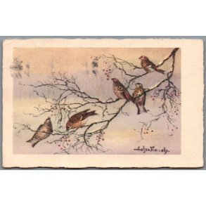 French, John - Fugle - Brugt