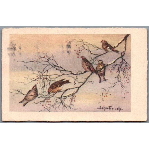 French, John - Fugle - Brugt