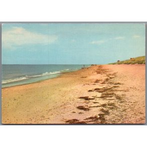 Strandparti ved Gl. Skagen - Postkort - Ubrugt