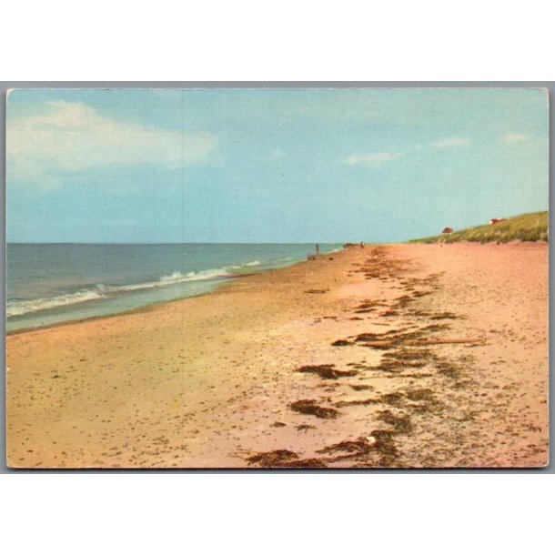 Strandparti ved Gl. Skagen - Postkort - Ubrugt