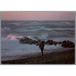 Stranden ved Gl. Skagen - Postkort - Ubrugt