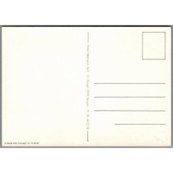 Hotel H�jengran - Gl. Skagen - Postkort - Ubrugt