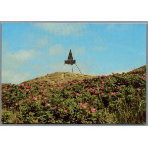 S�m�rket - Gl. Skagen - Postkort - Ubrugt 