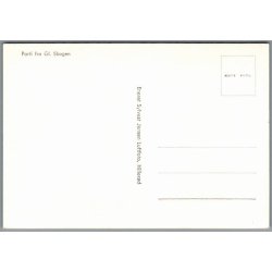 Parti fra Gl. Skagen - Luftfoto  - Postkort - Ubrugt