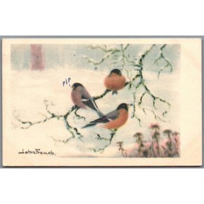 French, John - Fugle - Brugt