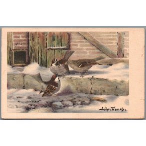 French, John - Fugle - Brugt