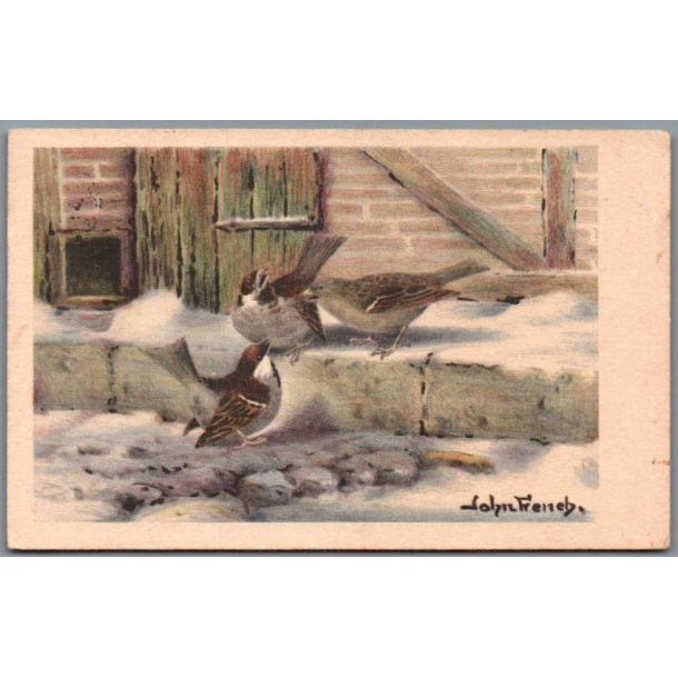 French, John - Fugle - Brugt