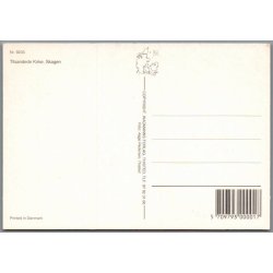 Tilsandede Kirke - Skagen - Postkort - Ubrugt