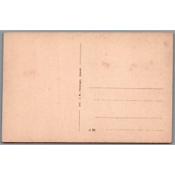 Hamlet Statue - Marienlyst - Helsing�r - Postkort - Ubrugt