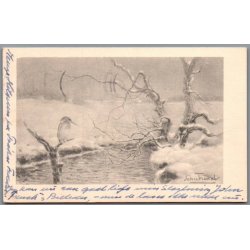 French, John - Isfugl - Brugt