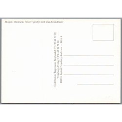 Skagen - Danmarks frste Vippefyr med ben brndekurv  - Postkort - Ubrugt