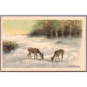 French, John - Natur - Brugt