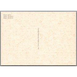 Skagens Kirke - Ubrugt