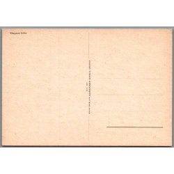 Skagens Kirke - Ubrugt