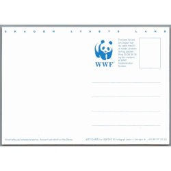 Skagen - Lysets Land - Postkort - Ubrugt