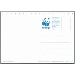 Skagen - Lysets Land - Postkort - Ubrugt