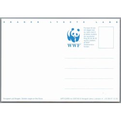 Skagen - Lysets Land - Kongern p Skagen - Postkort - Ubrugt