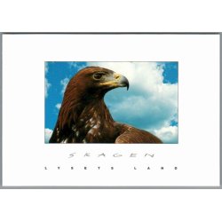 Skagen - Lysets Land - Kongern p Skagen - Postkort - Ubrugt