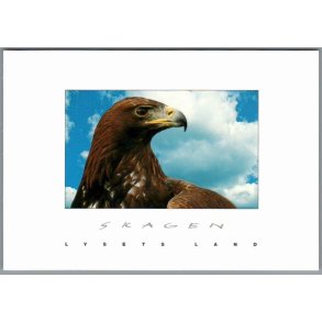 Skagen - Lysets Land - Konge�rn p� Skagen - Postkort - Ubrugt