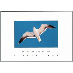 Skagen - Lysets Land - Postkort - Ubrugt