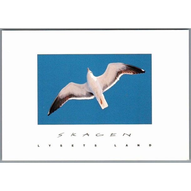 Skagen - Lysets Land - Postkort - Ubrugt