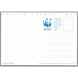 Skagen - Lysets Land - Postkort - Ubrugt