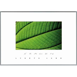 Skagen - Lysets Land - Postkort - Ubrugt