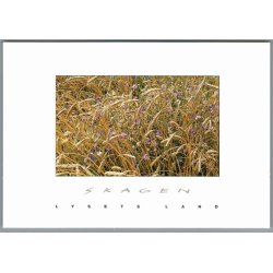 Skagen - Lysets Land - Postkort - Ubrugt