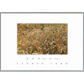 Skagen - Lysets Land - Postkort - Ubrugt