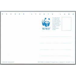 Skagen - Lysets Land - Postkort - Ubrugt