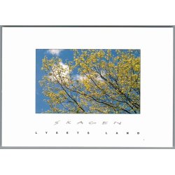 Skagen - Lysets Land - Postkort - Ubrugt