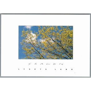 Skagen - Lysets Land - Postkort - Ubrugt