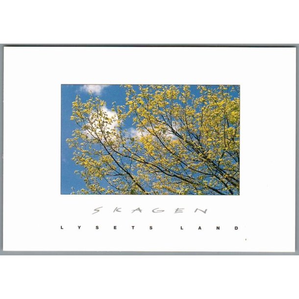 Skagen - Lysets Land - Postkort - Ubrugt