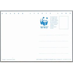 Skagen - Lysets Land - Postkort - Ubrugt