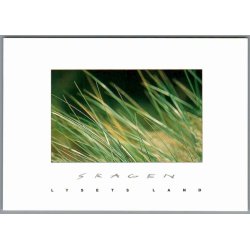 Skagen - Lysets Land - Marhalm - Postkort - Ubrugt