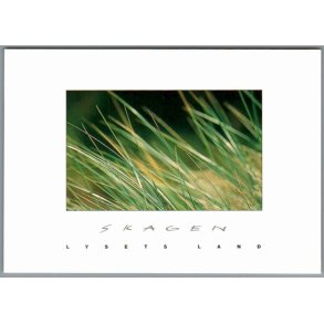 Skagen - Lysets Land - Marhalm - Postkort - Ubrugt