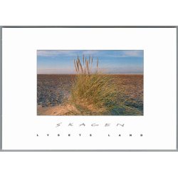 Skagen - Lysets Land - Marhalm - Postkort - Ubrugt
