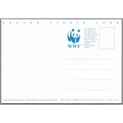 Skagen - Lysets Land - Fiskerhus - Postkort - Ubrugt