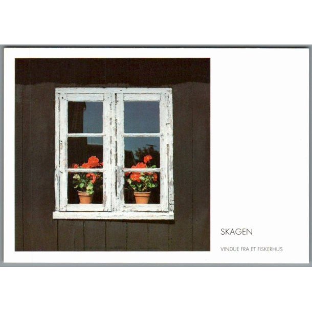 Skagen - Vindue fra et Fiskehus - Postkort - Ubrugt