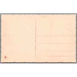 Viborg - Stiftamtshuset med Sct. Kjelds Br�nd -  Postkort - Ubrugt