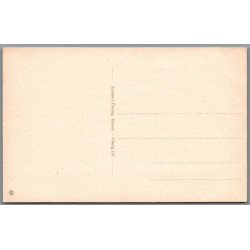 Viborg Domkirke set fra Latinerhaven -  Postkort - Ubrugt