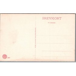 Viborg - Tausens Minde -  Postkort - Ubrugt