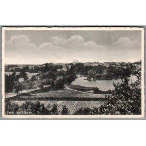 Parti fra Viborg - Postkort - Brugt