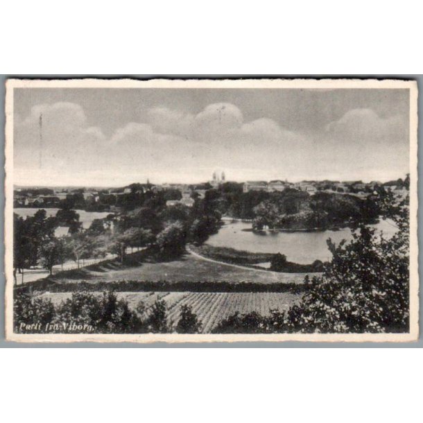 Parti fra Viborg - Postkort - Brugt