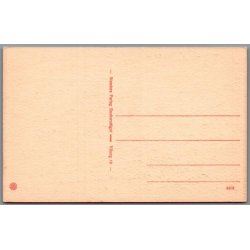  Blickersmindet paa Lyshj ved Viborg -  Postkort - Ubrugt