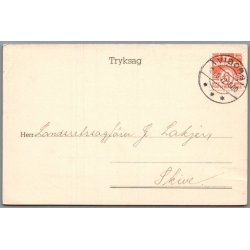 Viborg Papir-Comp. -  Helsagspostkort - Brugt